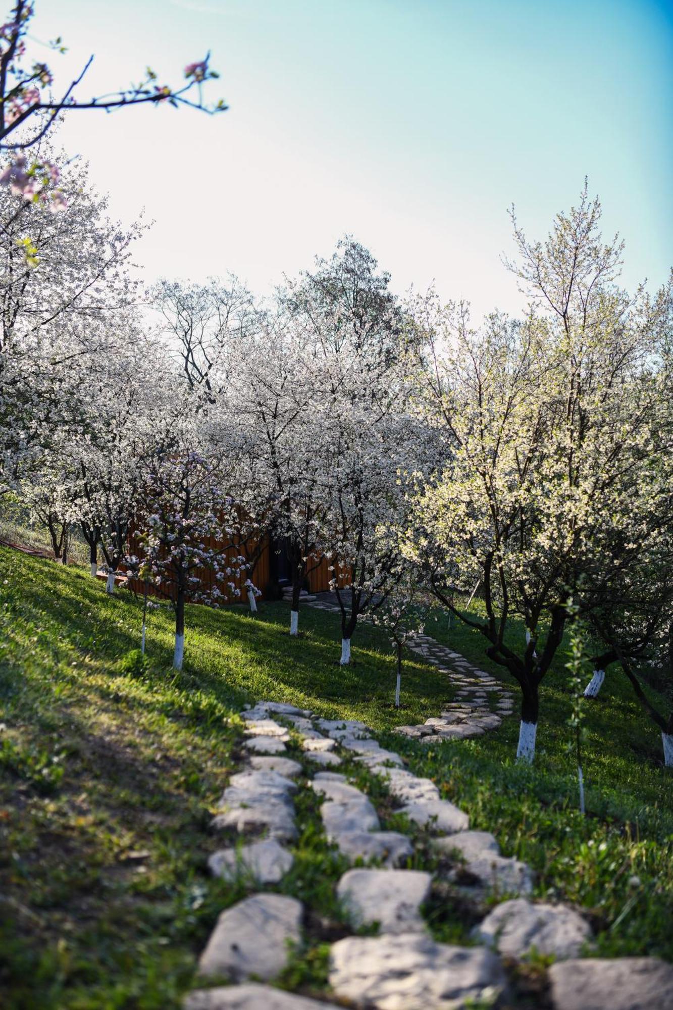 Casuta Din Livada Villa Măneciu Exterior photo